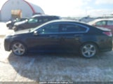 Acura Tl 19UUA96589A802052 снимка