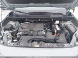 Toyota Rav4 2T3J1RFV6PW344009 снимка