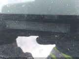 Toyota Yaris JTDBT923291344335 снимка