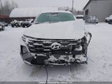 Hyundai Tucson 3KMJBCDE1SE026510 снимка