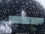 Dodge Grand Caravan Se 2D4RN4DE1AR160050 снимка