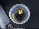 Ford Escape Se 1FMCU9G63MUA23346 снимка
