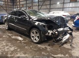 Volkswagen Passat Cc WVWBN7AN6DE509970 снимка