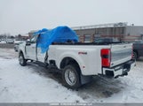 Ford 1FT8W4DT1PED98149 fotografie
