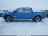 Ford F-150 Xlt 1FTFW1ET9CFB77665 снимка