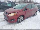 Ford C-Max Premium 1FADP5CU0DL548731 снимка