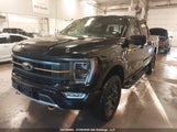 Ford F-150 Tremor 1FTEW1E82PFA67201 снимка