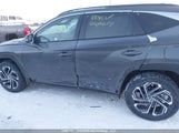 Hyundai Tucson Hybrid KM8JCDD18SU373722 снимка