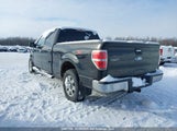 Ford F-150 Fx4/Harley-Davidson/Lariat/Xlt 1FTFW1EV1AFB40950 fotografie