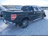 Ford F-150 Fx4/Harley-Davidson/Lariat/Xlt 1FTFW1EV1AFB40950 снимка
