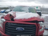 Ford F150 Supercrew 1FTEW1EP5HFA15232 fotografie