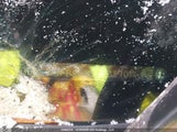 Honda Civic Ex 2HGFB2F52EH027014 снимка