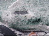 Mazda Mazda3 Gx 3MZBM1U75FM208615 снимка