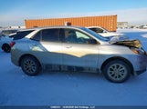 Chevrolet Equinox Ls 2GNAXSEV4K6144099 снимка