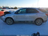 Chevrolet Equinox Ls 2GNAXSEV4K6144099 снимка