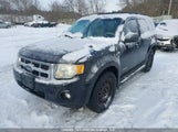 Ford Escape Xlt 1FMCU03168KD82035 fotografie