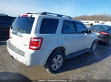 Ford Escape Limited 1FMCU94G49KB91366 снимка