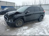 Toyota Rav4 2T3ZF4DV3CW150431 fotografie