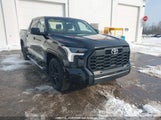 Toyota Tundra Crewmax Sr/Crewmax Sr5 5TFLA5DB0PX129327 fotografie