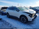 Kia Sportage Lx/X-Line KNDPUCAF4P7196856 photo