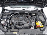 Toyota Corolla Le/Se/Xle/Night Shade JTDBCMFE0RJ016006 photo