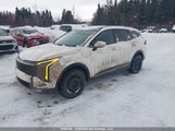 Kia Sportage Hybrid Ex/Ex Premium KNDPVDDG1T7287813 photo