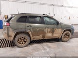 Jeep Cherokee Trailhawk 1C4PJMBX4KD451442 снимка