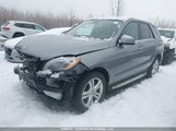 Mercedes-Benz Ml 350 Bluetec 4JGDA2EBXDA110652 снимка