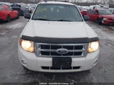 Ford Escape Xlt Automatic 1FMCU0DGXAKD29833 photo