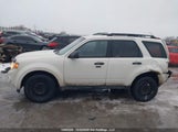 Ford Escape Xlt Automatic 1FMCU0DGXAKD29833 снимка