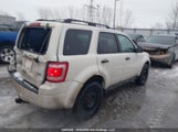 Ford Escape Xlt Automatic 1FMCU0DGXAKD29833 снимка