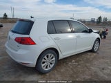 Volkswagen Golf 1.8 Tsi Comfortline/1.8 Tsi Highline/1.8 Tsi Trendline 3VW217AU6HM032246 fotografie