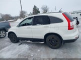Honda Cr-V Ex-L 5J6RE4H75BL810575 снимка