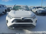 Toyota Rav4 Xle 2T3R1RFV0MC255729 снимка