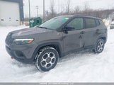 Jeep Compass Trailhawk 3C4NJDDBXNT220584 снимка