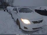 Toyota Corolla S/Le/Xle 2T1BU4EE0AC310004 снимка