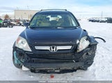 Honda Cr-V Ex-L 5J6RE48799L805924 photo