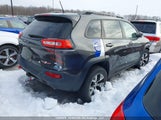 Jeep Cherokee 1C4PJMBS3EW194660 fotografie