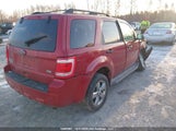 Ford Escape Xlt 1FMCU9DG9AKA99142 снимка