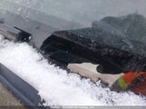 Honda Fit Dx-A JHMGE88359S802203 снимка