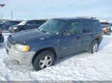 Ford Escape Xls 1FMYU01181KB43679 снимка