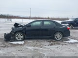 Toyota Corolla S 2T1BU4EE7AC377389 снимка