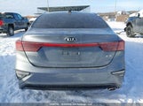 Kia Forte Ex/Ex Limited/Ex Premium/Ex+ 3KPF54AD3LE144898 снимка
