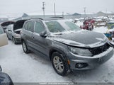 Volkswagen Tiguan Comfortline/Highline/Special Edition/Trendline WVGJV7AX9FW553452 снимка