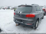 Volkswagen Tiguan Comfortline/Highline/Special Edition/Trendline WVGJV7AX9FW553452 fotografie