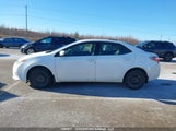 Toyota Corolla L/Le/Le Pls/Prm/S/S Pls 2T1BURHE8GC704741 fotografie