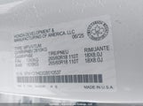 Honda Pilot Trailsport 5FNYG1H63SB510537 photo