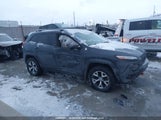 Jeep Cherokee Trailhawk 1C4PJMBSXHW527666 снимка