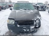 Ford Escape Xlt 1FMYU03166KA36103 снимка