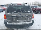 Ford Escape Xlt 1FMYU03166KA36103 снимка